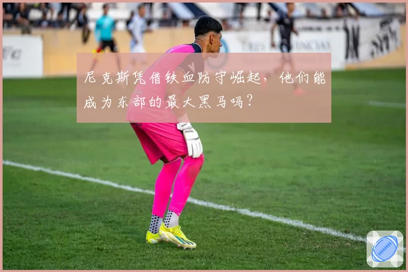 尼克斯凭借铁血防守崛起,他们能成为东部的最大黑马吗?