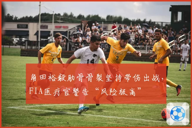 角田裕毅肋骨骨裂坚持带伤出战,FIA医疗官警告“风险极高”